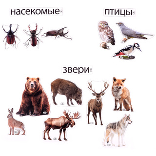 Набор магнитных карточек Кто живёт в лесу (к плакату Лес, тема 2)