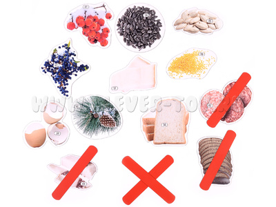 Набор магнитных карточек Что едят птицы зимой? (к плакату Птицы, тема 3)