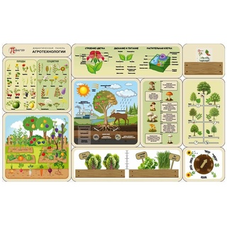 Дидактическая панель "Агротехнологии"
